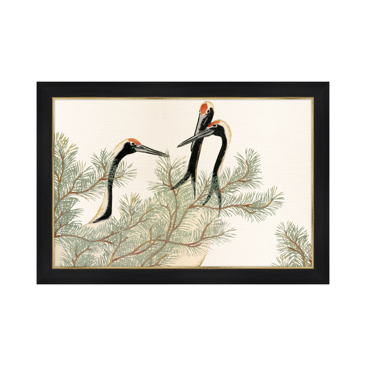 Cranes