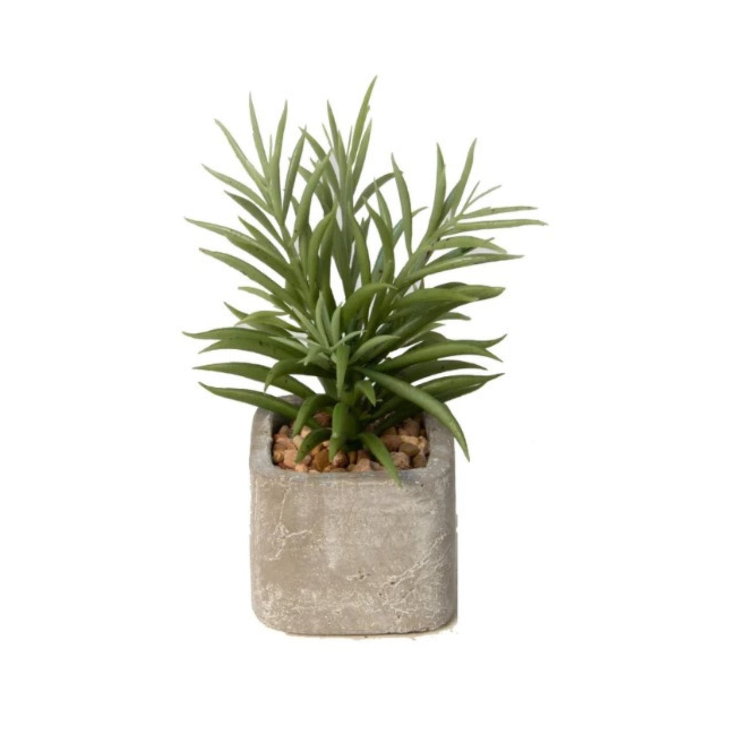 Stone Pot Succulent