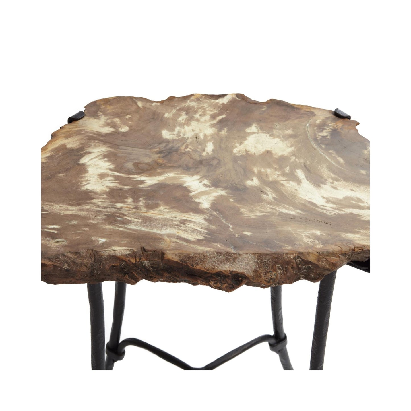 Petrified Accent Table